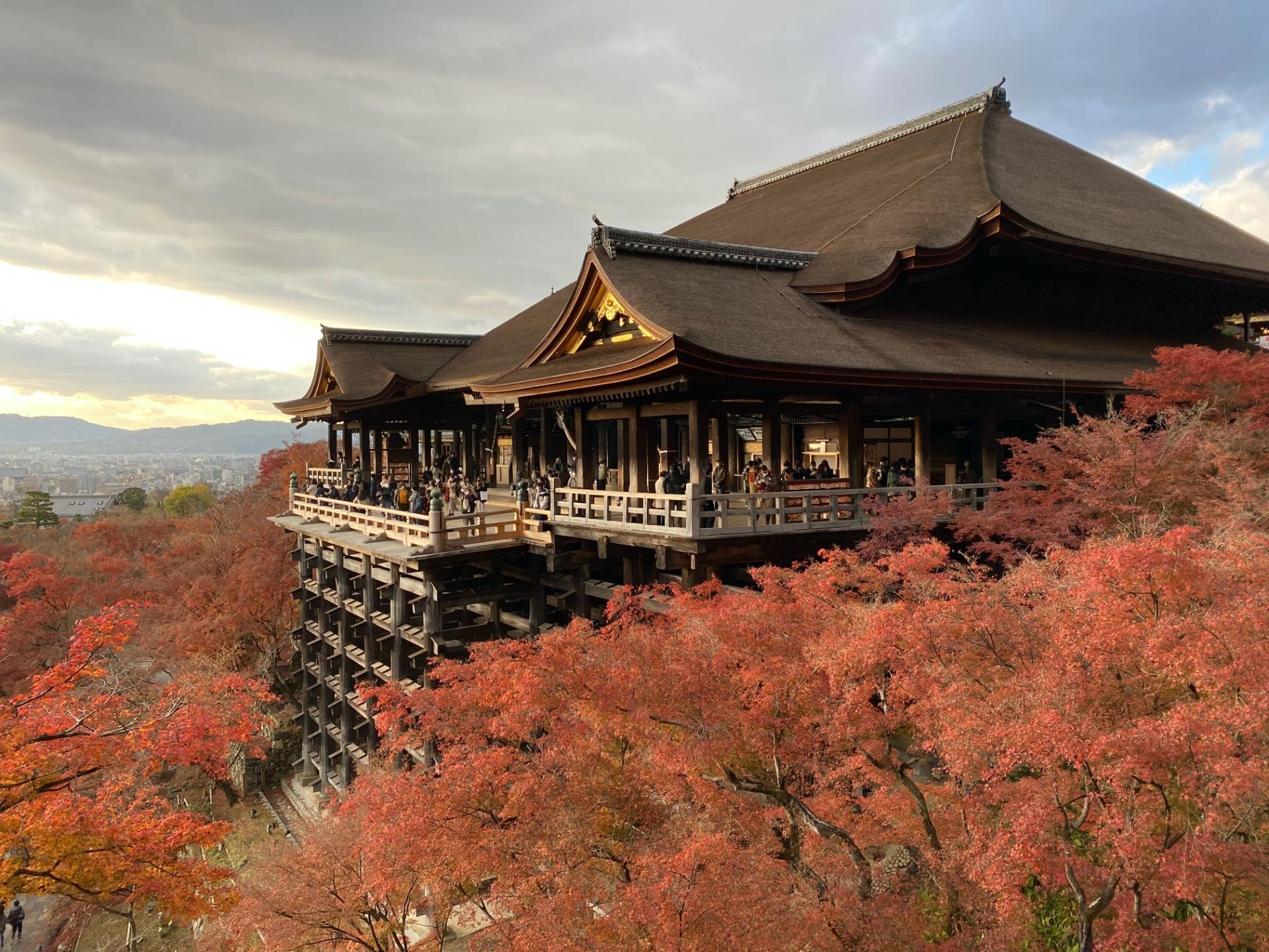 清水寺舞台與滿山楓紅